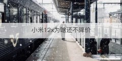 小米12x为啥还不降价