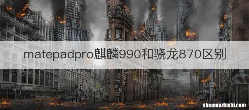 matepadpro麒麟990和骁龙870区别