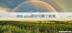 855 plus和870哪个耗电