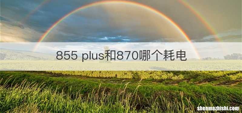 855 plus和870哪个耗电