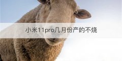 小米11pro几月份产的不烧
