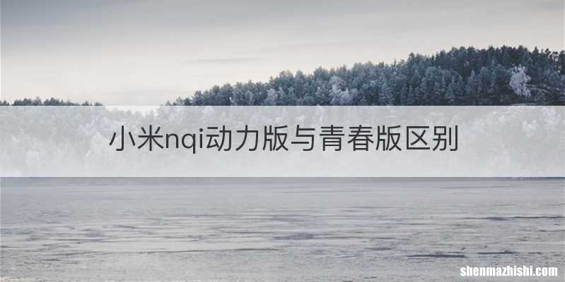 小米nqi动力版与青春版区别