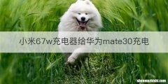 小米67w充电器给华为mate30充电