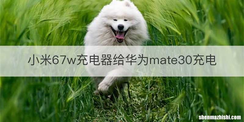 小米67w充电器给华为mate30充电