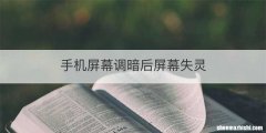手机屏幕调暗后屏幕失灵