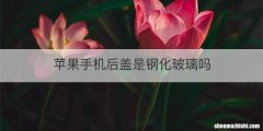 苹果手机后盖是钢化玻璃吗