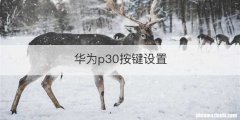 华为p30按键设置