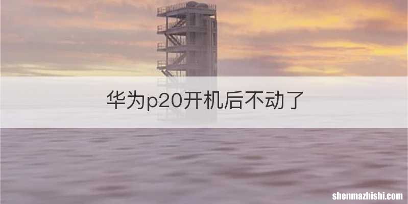 华为p20开机后不动了