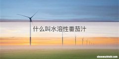 什么叫水溶性番茄汁