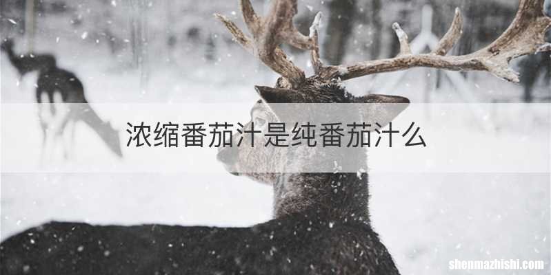 浓缩番茄汁是纯番茄汁么