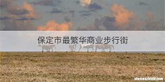 保定市最繁华商业步行街