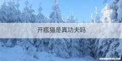 开瓶猫是真功夫吗