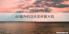 60毫升的功夫茶杯算大吗
