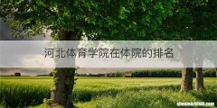 河北体育学院在体院的排名