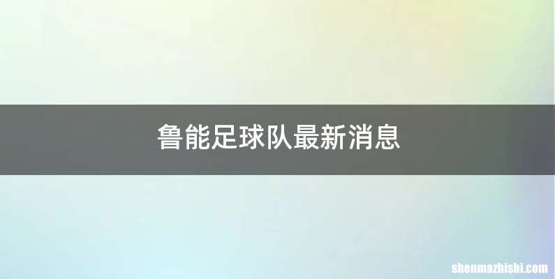 鲁能足球队最新消息