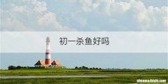 初一杀鱼好吗