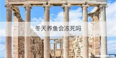 冬天养鱼会冻死吗