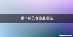 哪个球员老婆最漂亮