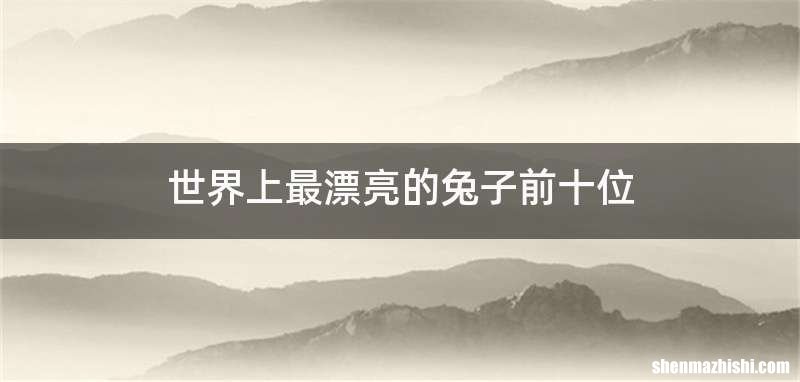 世界上最漂亮的兔子前十位