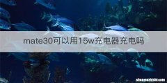 mate30可以用15w充电器充电吗
