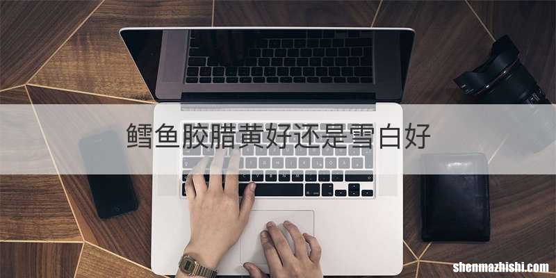 鳕鱼胶腊黄好还是雪白好