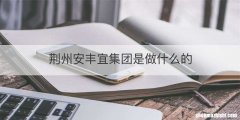 荆州安丰宜集团是做什么的