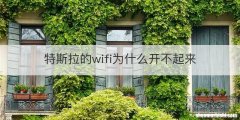 特斯拉的wifi为什么开不起来