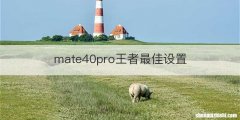 mate40pro王者最佳设置