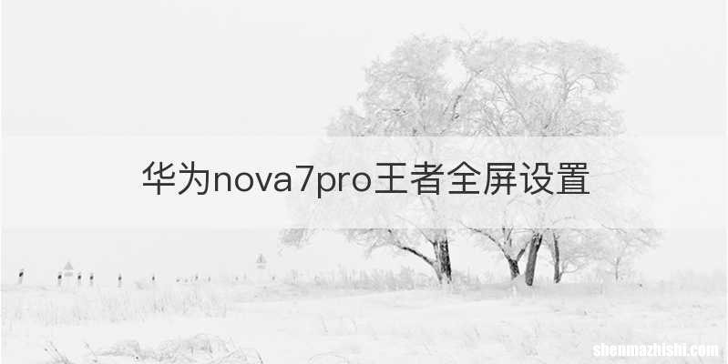 华为nova7pro王者全屏设置