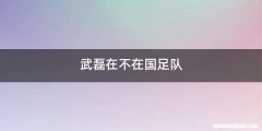 武磊在不在国足队