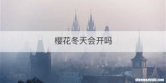 樱花冬天会开吗
