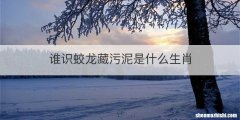 谁识蛟龙藏污泥是什么生肖