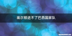 埃尔顿进不了巴西国家队