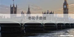 枣花子是啥