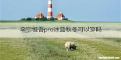 李宁惟吾pro冰蓝秋冬可以穿吗