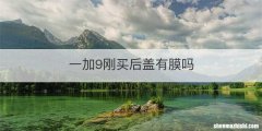 一加9刚买后盖有膜吗
