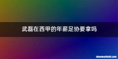 武磊在西甲的年薪足协要拿吗