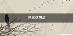 世界杯历届