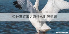 公孙离逐浪之夏什么时候返场