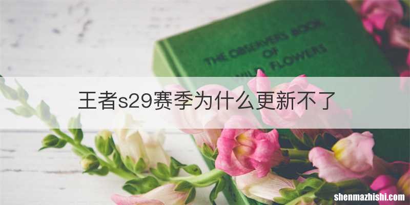 王者s29赛季为什么更新不了