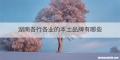 湖南各行各业的本土品牌有哪些