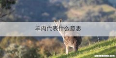 羊肉代表什么意思