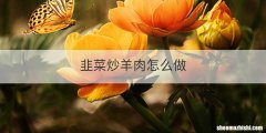 韭菜炒羊肉怎么做