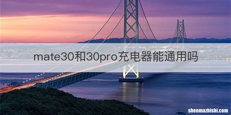 mate30和30pro充电器能通用吗