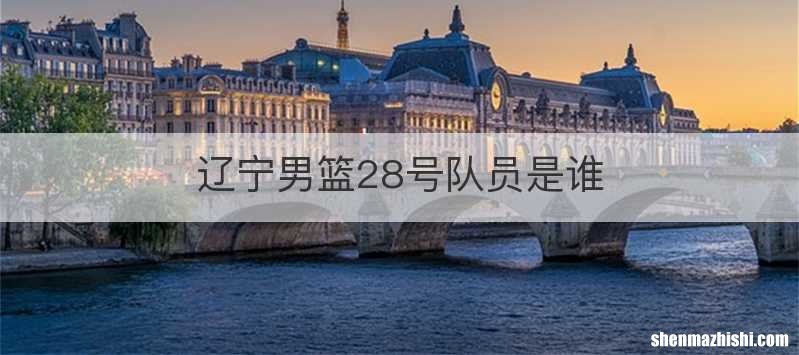 辽宁男篮28号队员是谁