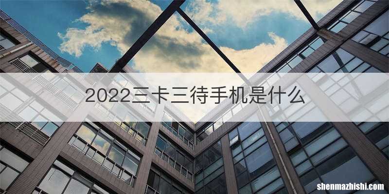 2022三卡三待手机是什么