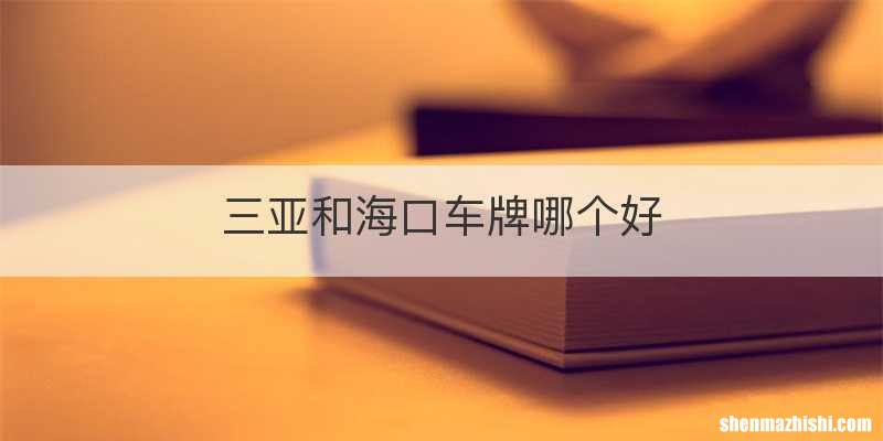 三亚和海口车牌哪个好