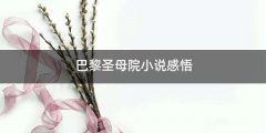 巴黎圣母院小说感悟