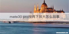mate30 pro按两下放大怎么回事