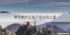 鱼冬眠时它是不是钻到土里